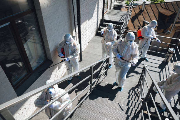 Reliable Kensington, CA Mold Removal Solutions