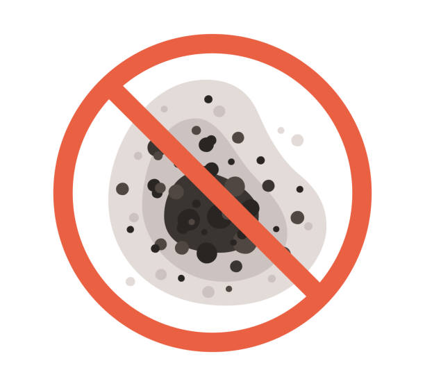 Best Comprehensive Air Testing for Mold Contaminants  in Kensington, CA